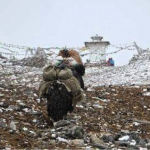 Jomolhari Laya Gasa Trek in Bhutan